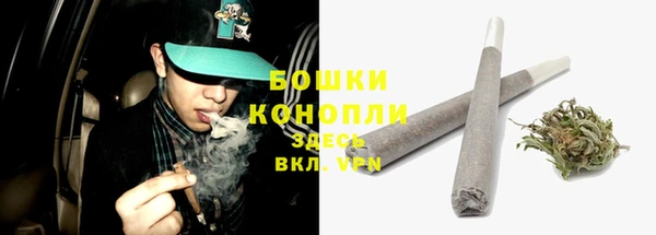 гидропоника Белокуриха